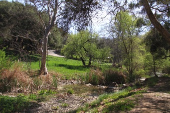 Enlarge photo 11