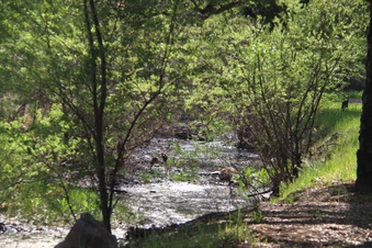 Enlarge photo 12