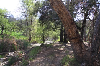 Enlarge photo 13