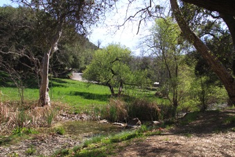 Enlarge photo 14