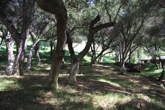 Enlarge photo 15
