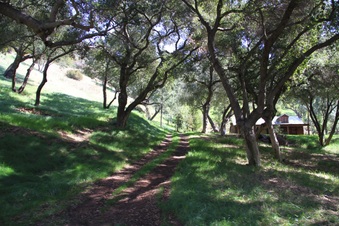 Enlarge photo 16
