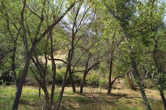 Enlarge photo 17