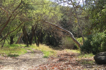 Enlarge photo 19