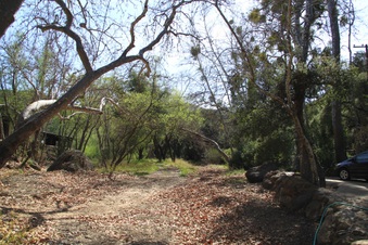 Enlarge photo 20
