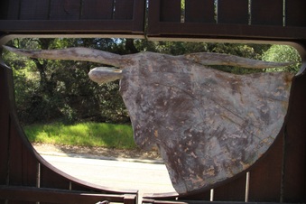 Enlarge photo 21