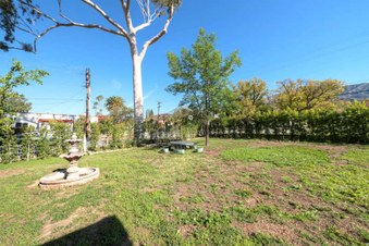 Enlarge photo 87