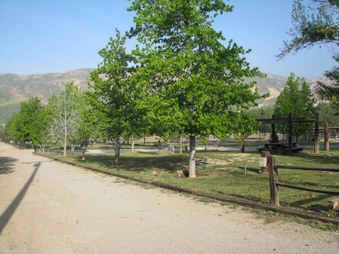 Enlarge photo 41