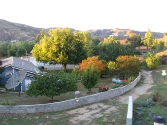 Enlarge photo 52