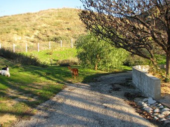 Enlarge photo 73