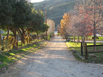 Enlarge photo 72