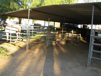 Enlarge photo 74