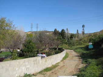 Enlarge photo 21