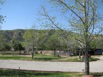 Enlarge photo 28