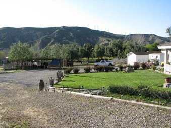 Enlarge photo 36