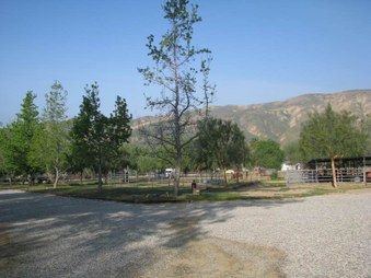 Enlarge photo 45