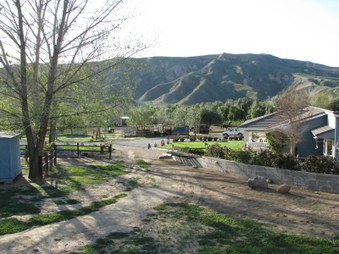 Enlarge photo 34
