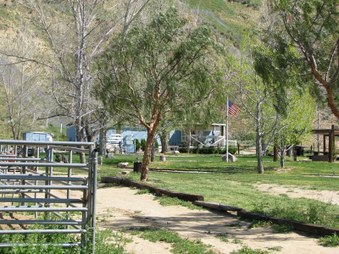 Enlarge photo 31