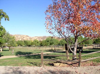 Enlarge photo 24