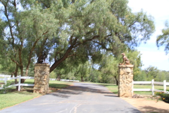Enlarge photo 25