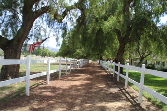Enlarge photo 26