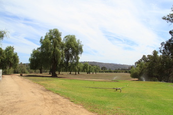 Enlarge photo 30