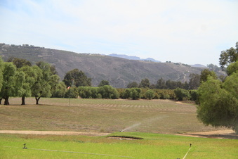 Enlarge photo 32