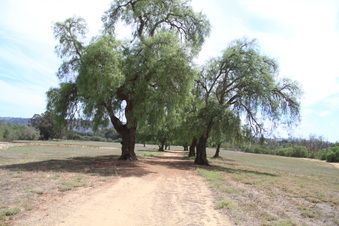 Enlarge photo 33
