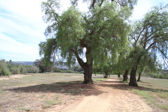 Enlarge photo 35