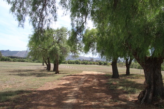 Enlarge photo 36