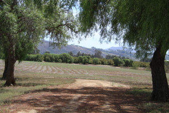 Enlarge photo 37