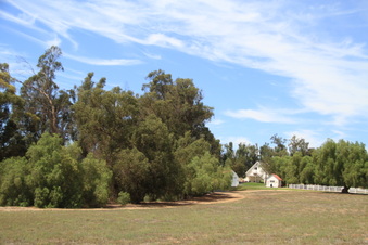 Enlarge photo 41