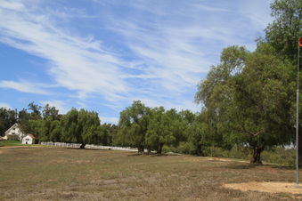 Enlarge photo 43