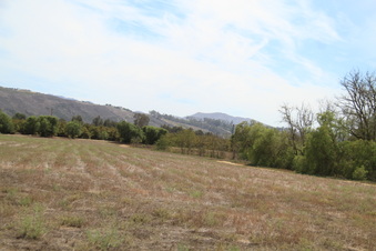 Enlarge photo 44