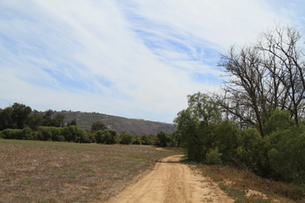 Enlarge photo 45