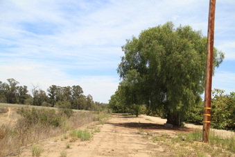 Enlarge photo 49