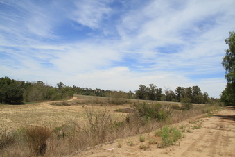 Enlarge photo 50
