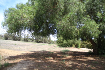 Enlarge photo 51