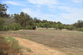 Enlarge photo 52
