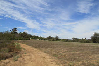 Enlarge photo 53