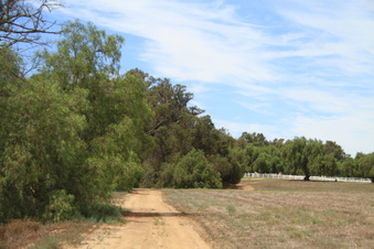 Enlarge photo 54