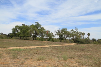 Enlarge photo 55