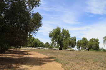 Enlarge photo 56
