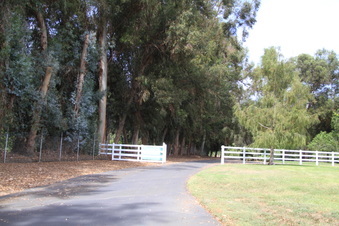 Enlarge photo 70