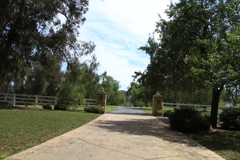 Enlarge photo 71