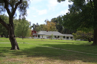 Enlarge photo 73