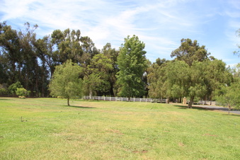 Enlarge photo 77