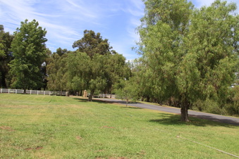 Enlarge photo 78