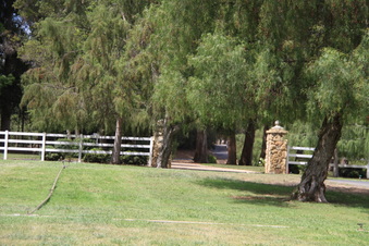 Enlarge photo 79