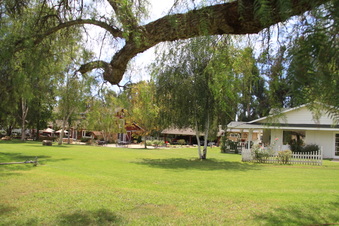 Enlarge photo 82